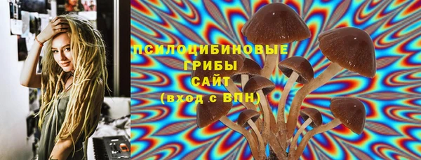соль ск Алексин