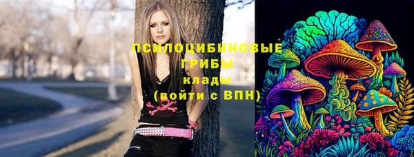 соль ск Алексин