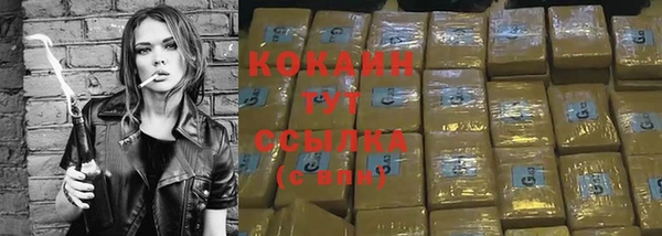 соль ск Алексин
